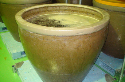 画像：陶製かめの中の発酵エキス